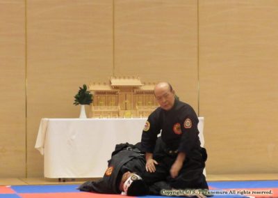 Soke Tanemura teaching Hontai Takagi Yoshin Ryu Ju-Jutsu Ishitani Den at the Japan Tai Kai in 2015.